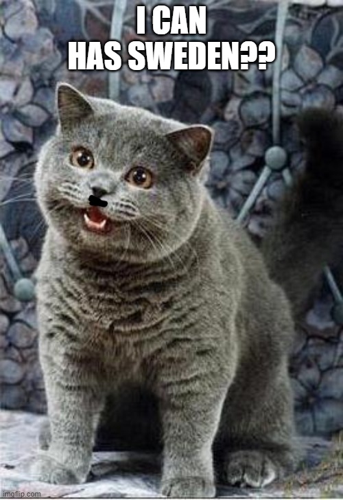 I can has cheezburger cat | I CAN HAS SWEDEN?? | image tagged in i can has cheezburger cat | made w/ Imgflip meme maker