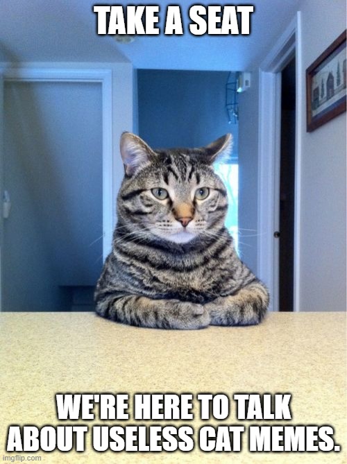 Take A Seat Cat | TAKE A SEAT; WE'RE HERE TO TALK ABOUT USELESS CAT MEMES. | image tagged in memes,take a seat cat | made w/ Imgflip meme maker