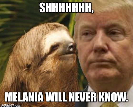 Political advice sloth | SHHHHHHH, MELANIA WILL NEVER KNOW. | image tagged in political advice sloth | made w/ Imgflip meme maker