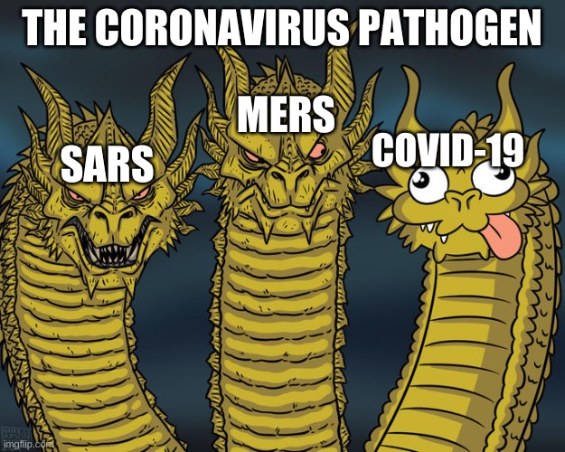 Pathogen | THE CORONAVIRUS PATHOGEN; MERS; SARS; COVID-19 | image tagged in three-headed dragon | made w/ Imgflip meme maker