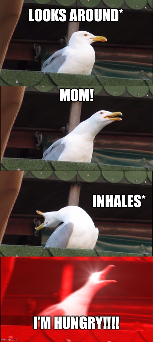Seegul brefs | LOOKS AROUND*; MOM! INHALES*; I’M HUNGRY!!!! | image tagged in memes,inhaling seagull | made w/ Imgflip meme maker