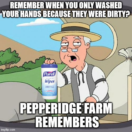 Wash Your Hands | REMEMBER WHEN YOU ONLY WASHED YOUR HANDS BECAUSE THEY WERE DIRTY? PEPPERIDGE FARM
 REMEMBERS | image tagged in memes,pepperidge farm remembers,coronavirus,covid-19,wash your hands,washing hands | made w/ Imgflip meme maker