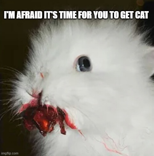 I'M AFRAID IT'S TIME FOR YOU TO GET CAT | made w/ Imgflip meme maker