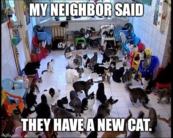 Crazy cat Lady | MY NEIGHBOR SAID; THEY HAVE A NEW CAT. | image tagged in crazy cat lady | made w/ Imgflip meme maker