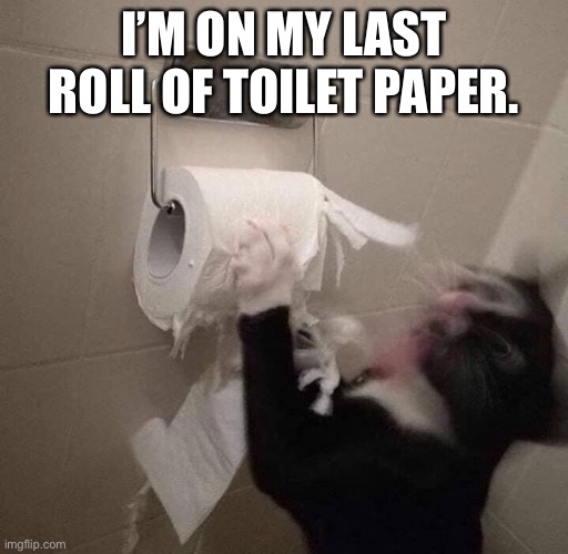 gato nervioso | I’M ON MY LAST ROLL OF TOILET PAPER. | image tagged in gato nervioso | made w/ Imgflip meme maker