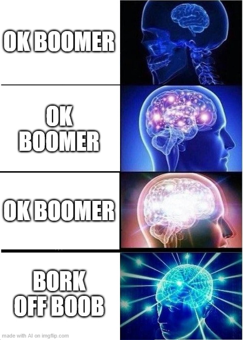 Expanding Brain Meme | OK BOOMER; OK BOOMER; OK BOOMER; BORK OFF BOOB | image tagged in memes,expanding brain | made w/ Imgflip meme maker