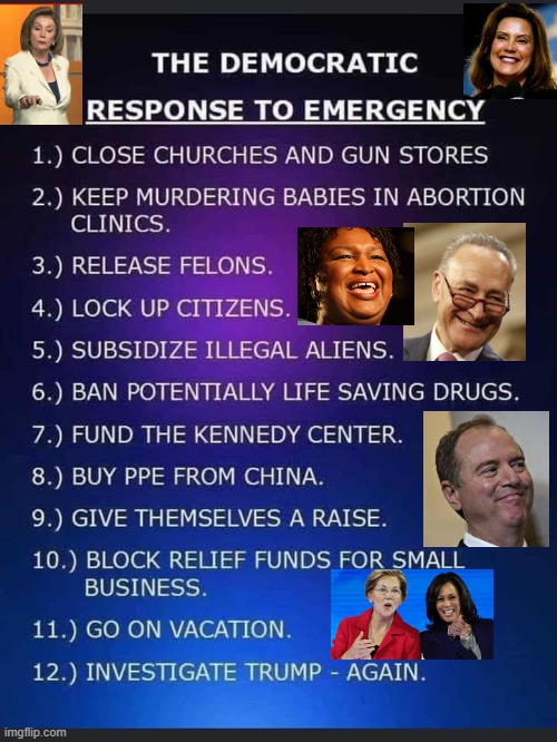 Democratic Response To Emergency | image tagged in democrats,stupid liberals,ConservativeMemes | made w/ Imgflip meme maker