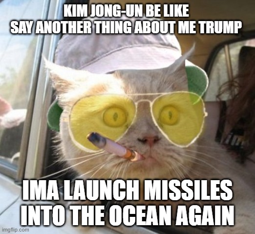 Fear And Loathing Cat | KIM JONG-UN BE LIKE 
SAY ANOTHER THING ABOUT ME TRUMP; IMA LAUNCH MISSILES INTO THE OCEAN AGAIN | image tagged in memes,fear and loathing cat | made w/ Imgflip meme maker