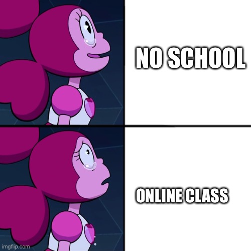 spinel |  NO SCHOOL; ONLINE CLASS | image tagged in spinel | made w/ Imgflip meme maker