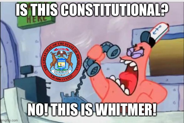 Michigan’s Current State of Affairs | IS THIS CONSTITUTIONAL? NO! THIS IS WHITMER! | image tagged in no this is patrick | made w/ Imgflip meme maker