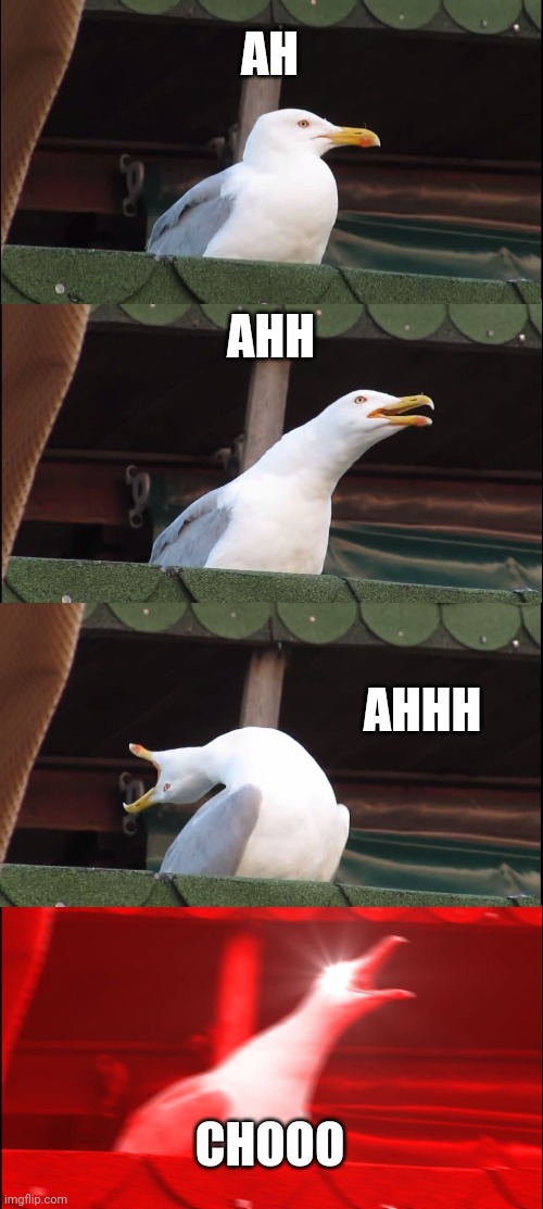 Inhaling Seagull Meme | AH; AHH; AHHH; CHOOO | image tagged in memes,inhaling seagull | made w/ Imgflip meme maker