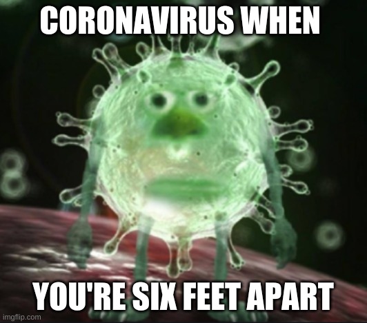 CORONAVIRUS WHEN; YOU'RE SIX FEET APART | made w/ Imgflip meme maker