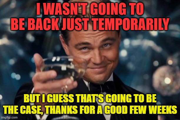 Read Comments | I WASN'T GOING TO BE BACK JUST TEMPORARILY; BUT I GUESS THAT'S GOING TO BE THE CASE, THANKS FOR A GOOD FEW WEEKS | image tagged in memes,leonardo dicaprio cheers | made w/ Imgflip meme maker