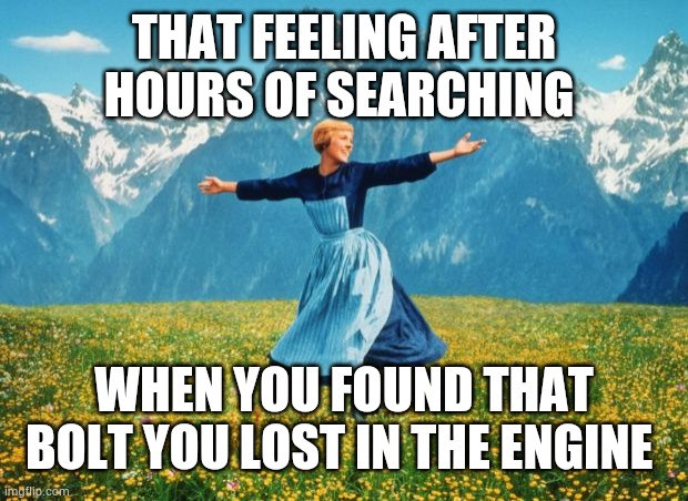 MECHANIC, CAN YOU RELATE? | THAT FEELING AFTER HOURS OF SEARCHING; WHEN YOU FOUND THAT BOLT YOU LOST IN THE ENGINE | image tagged in mechanic,meme,fun,car,suprised | made w/ Imgflip meme maker