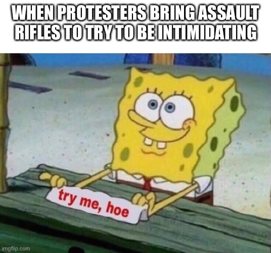 Just because I’m a liberal doesn’t mean I don’t know guns | WHEN PROTESTERS BRING ASSAULT RIFLES TO TRY TO BE INTIMIDATING | image tagged in try me hoe | made w/ Imgflip meme maker