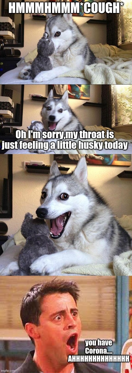 never make coughing jokes in pandemics | HMMMHMMM*COUGH*; Oh I'm sorry,my throat is just feeling a little husky today; you have Corona....
AHHHHHHHHHHHHHH | image tagged in memes,bad pun dog,shocked face | made w/ Imgflip meme maker