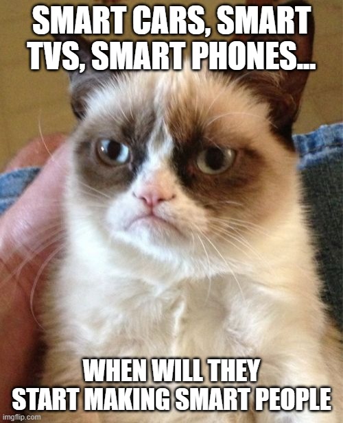 Grumpy Cat Meme | SMART CARS, SMART TVS, SMART PHONES... WHEN WILL THEY START MAKING SMART PEOPLE | image tagged in memes,grumpy cat | made w/ Imgflip meme maker