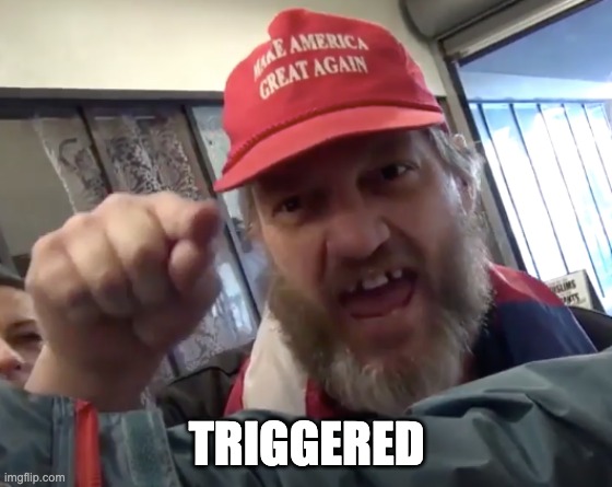 TRIGGERED!!! | TRIGGERED | image tagged in triggered,maga,trumpers,trump supporters | made w/ Imgflip meme maker