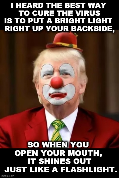That makes as much sense as anything else he's said. | I HEARD THE BEST WAY 
TO CURE THE VIRUS IS TO PUT A BRIGHT LIGHT 
RIGHT UP YOUR BACKSIDE, SO WHEN YOU 
OPEN YOUR MOUTH, 
IT SHINES OUT
 JUST LIKE A FLASHLIGHT. | image tagged in donald trump clown,trump,coronavirus,covid-19,cure,incompetence | made w/ Imgflip meme maker