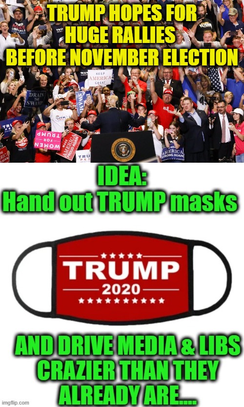 TRIGGERED by TRUMP!! | TRUMP HOPES FOR HUGE RALLIES 
BEFORE NOVEMBER ELECTION | image tagged in politics,political meme,donald trump,triggered liberal,democrats,biased media | made w/ Imgflip meme maker
