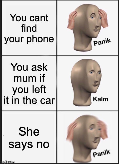 PANIC | You cant find your phone; You ask mum if you left it in the car; She says no | image tagged in memes,panik kalm panik | made w/ Imgflip meme maker