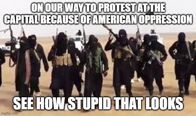 ON OUR WAY TO PROTEST AT THE CAPITAL BECAUSE OF AMERICAN OPPRESSION; SEE HOW STUPID THAT LOOKS | made w/ Imgflip meme maker