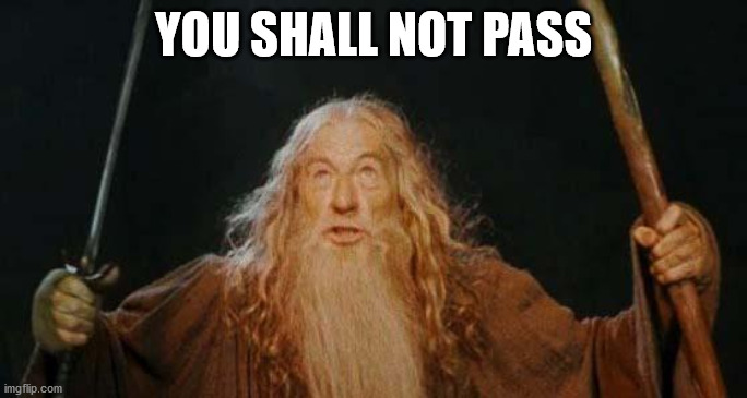 gandalf | YOU SHALL NOT PASS | image tagged in gandalf | made w/ Imgflip meme maker