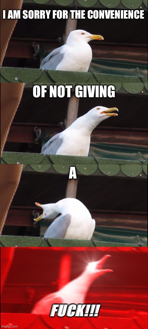 Inhaling Seagull Meme | I AM SORRY FOR THE CONVENIENCE; OF NOT GIVING; A; FUCK!!! | image tagged in memes,inhaling seagull | made w/ Imgflip meme maker