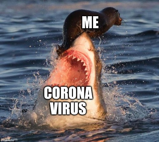 just missed | ME; CORONA VIRUS | image tagged in memes,travelonshark | made w/ Imgflip meme maker
