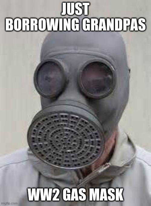 Gas mask | JUST BORROWING GRANDPAS; WW2 GAS MASK | image tagged in gas mask | made w/ Imgflip meme maker