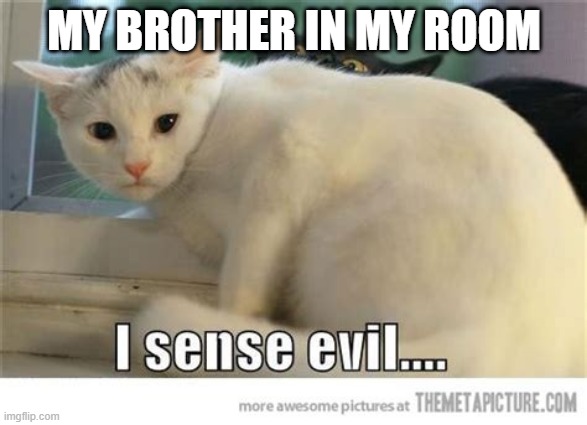 evil | MY BROTHER IN MY ROOM | image tagged in memes | made w/ Imgflip meme maker