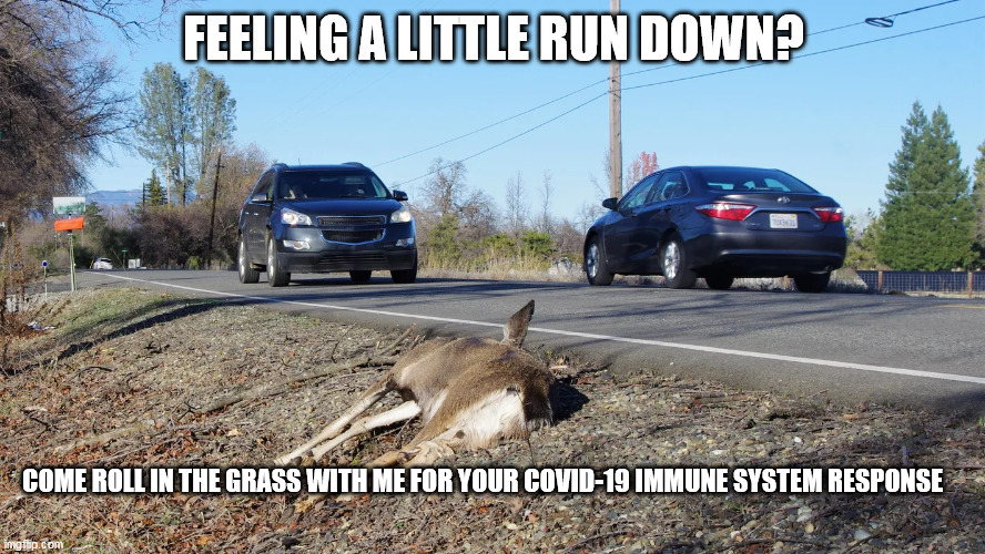 FEELING A LITTLE RUN DOWN? COME ROLL IN THE GRASS WITH ME FOR YOUR COVID-19 IMMUNE SYSTEM RESPONSE | image tagged in dead deer | made w/ Imgflip meme maker