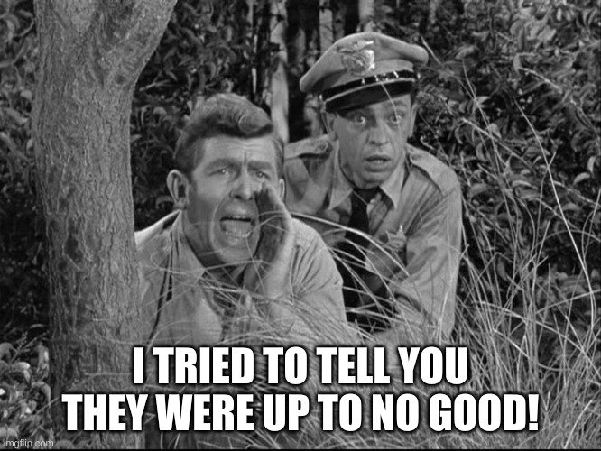 Andy griffith yelling | I TRIED TO TELL YOU THEY WERE UP TO NO GOOD! | image tagged in andy griffith yelling | made w/ Imgflip meme maker