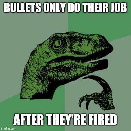 Philosoraptor Meme | BULLETS ONLY DO THEIR JOB; AFTER THEY'RE FIRED | image tagged in memes,philosoraptor | made w/ Imgflip meme maker