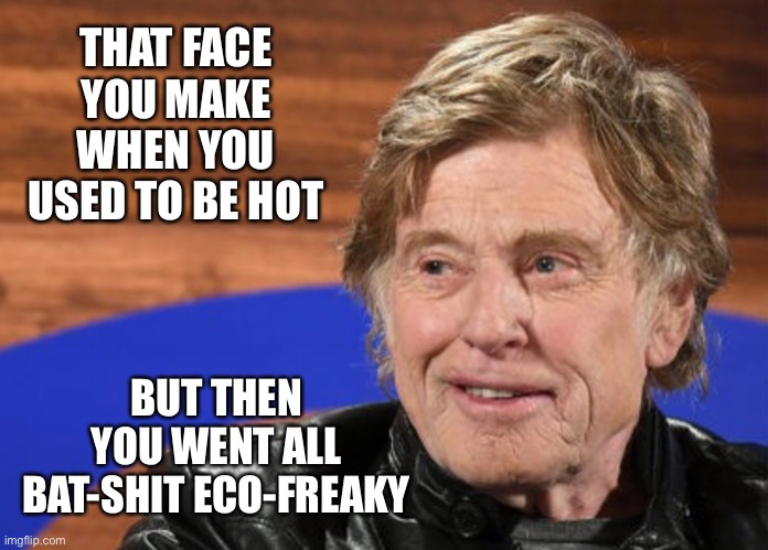 Dos Banditos Yankees? DOS?!! | THAT FACE YOU MAKE WHEN YOU USED TO BE HOT; BUT THEN YOU WENT ALL BAT-SHIT ECO-FREAKY | image tagged in hollywood liberals,getting old,shut up,that face you make when | made w/ Imgflip meme maker