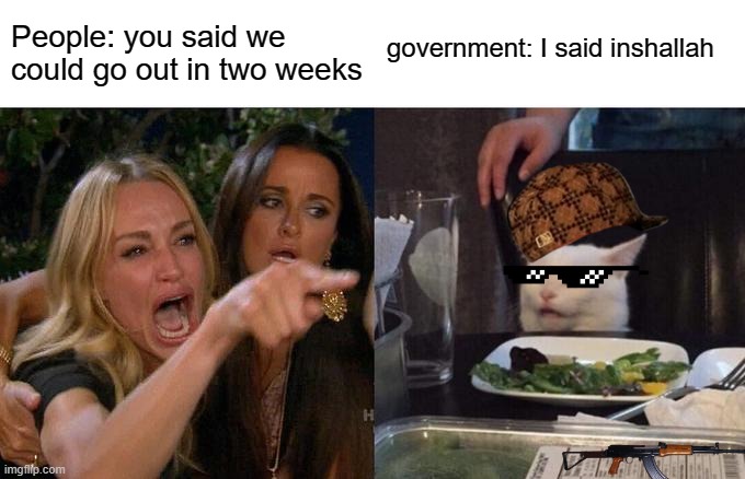 Woman Yelling At Cat | People: you said we could go out in two weeks; government: I said inshallah | image tagged in memes,woman yelling at cat | made w/ Imgflip meme maker