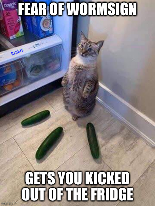 Cucumber Cat | FEAR OF WORMSIGN; Arakis; GETS YOU KICKED OUT OF THE FRIDGE | image tagged in cucumbers cat,wormsign | made w/ Imgflip meme maker