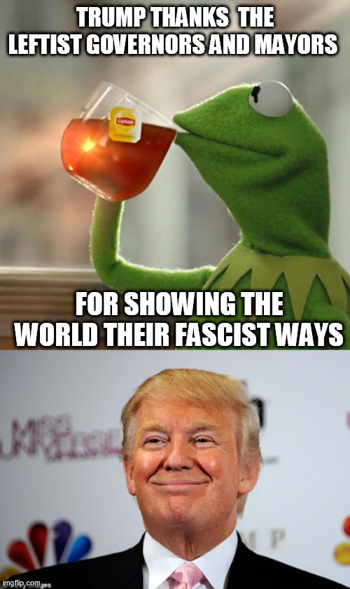 TRUMP THANKS  THE LEFTIST GOVERNORS AND MAYORS; FOR SHOWING THE WORLD THEIR FASCIST WAYS | image tagged in memes,but that's none of my business,donald trump approves | made w/ Imgflip meme maker