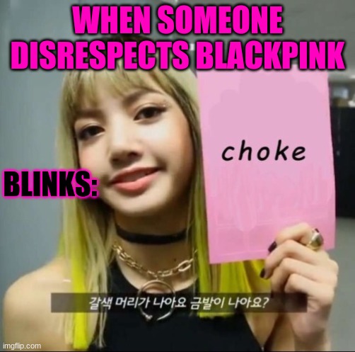 Lalisa manoban Blackpink | WHEN SOMEONE DISRESPECTS BLACKPINK; BLINKS: | image tagged in lalisa manoban blackpink | made w/ Imgflip meme maker