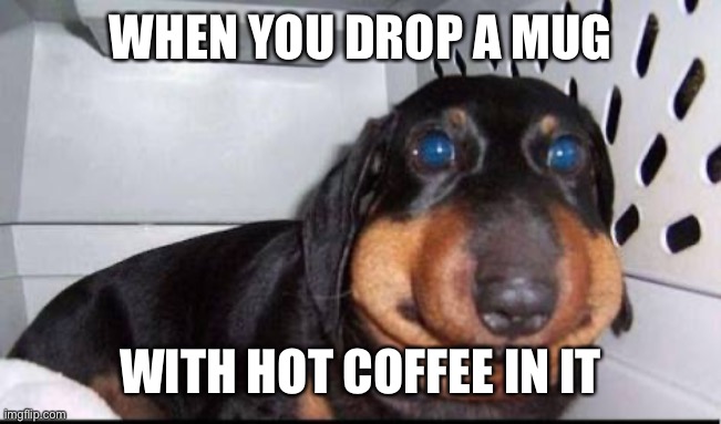 Mug with hot coffee | WHEN YOU DROP A MUG; WITH HOT COFFEE IN IT | image tagged in doggo | made w/ Imgflip meme maker