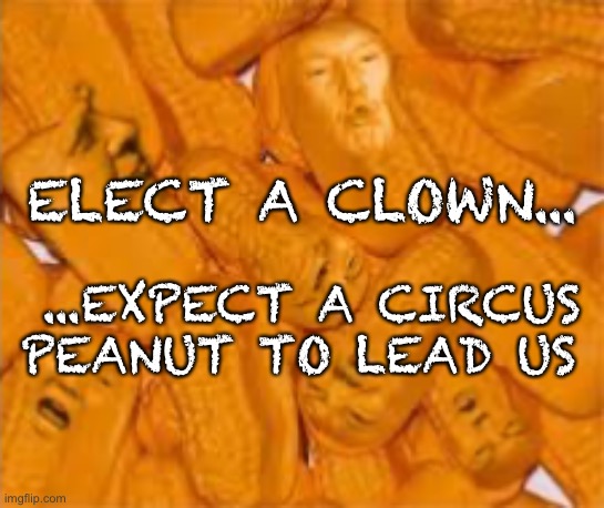 Circus Peanut | ELECT A CLOWN... ...EXPECT A CIRCUS PEANUT TO LEAD US | image tagged in circus,donald trump the clown | made w/ Imgflip meme maker