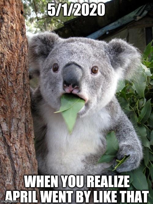 Surprised Koala | 5/1/2020; WHEN YOU REALIZE APRIL WENT BY LIKE THAT | image tagged in memes,surprised koala | made w/ Imgflip meme maker