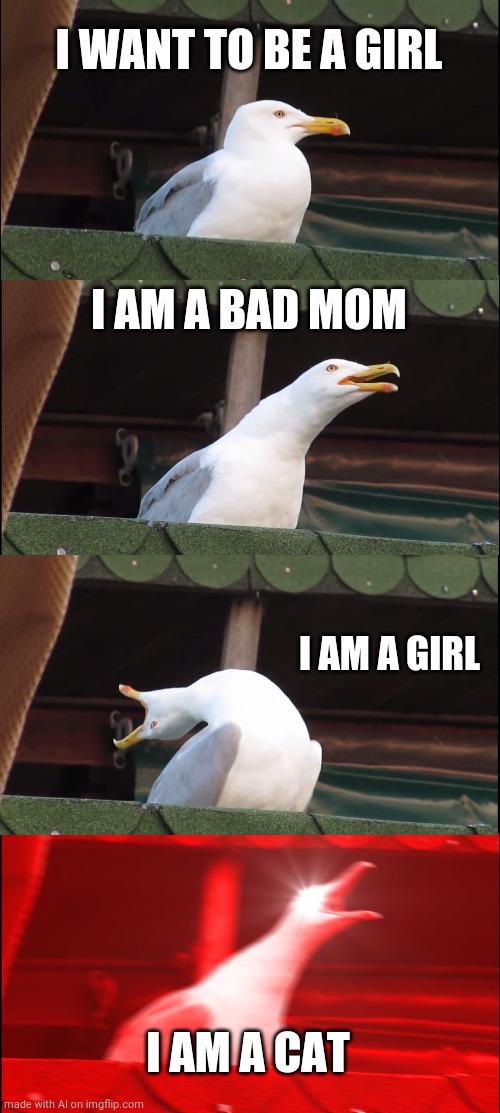 Inhaling Seagull Meme | I WANT TO BE A GIRL; I AM A BAD MOM; I AM A GIRL; I AM A CAT | image tagged in memes,inhaling seagull | made w/ Imgflip meme maker