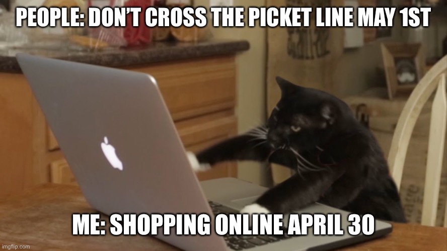 Furiously Typing Cat | PEOPLE: DON’T CROSS THE PICKET LINE MAY 1ST; ME: SHOPPING ONLINE APRIL 30 | image tagged in furiously typing cat | made w/ Imgflip meme maker