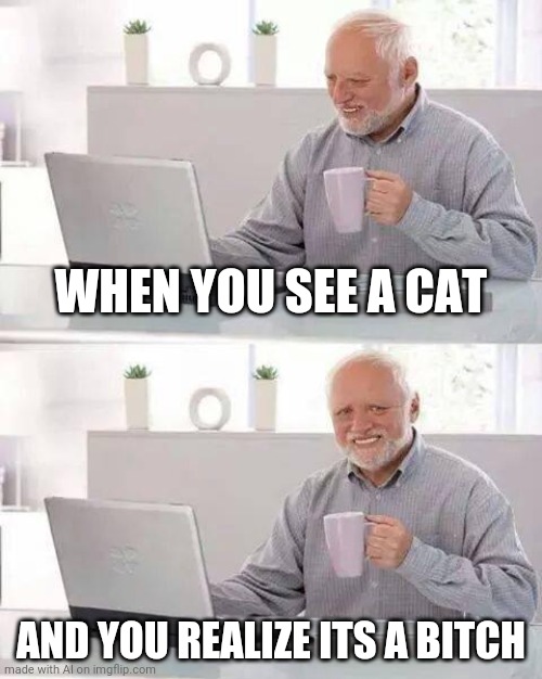 Hide the Pain Harold Meme | WHEN YOU SEE A CAT; AND YOU REALIZE ITS A BITCH | image tagged in memes,hide the pain harold | made w/ Imgflip meme maker