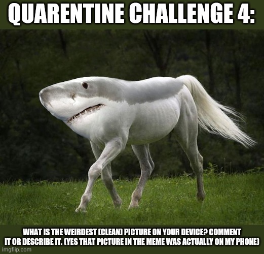 QUARENTINE CHALLENGE 4:; WHAT IS THE WEIRDEST (CLEAN) PICTURE ON YOUR DEVICE? COMMENT IT OR DESCRIBE IT. (YES THAT PICTURE IN THE MEME WAS ACTUALLY ON MY PHONE) | made w/ Imgflip meme maker