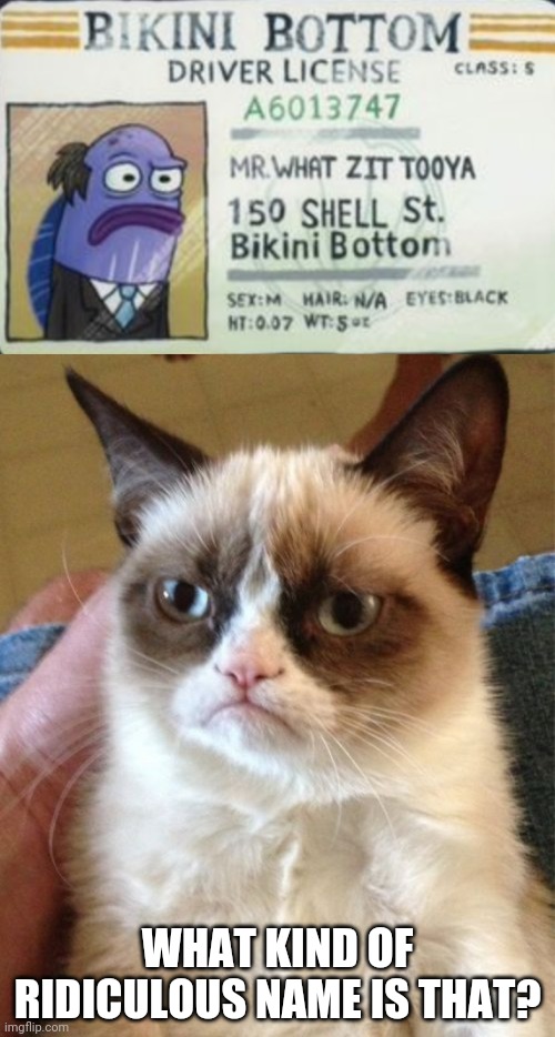 WHAT KIND OF RIDICULOUS NAME IS THAT? | image tagged in memes,grumpy cat,mr what zit tooya | made w/ Imgflip meme maker