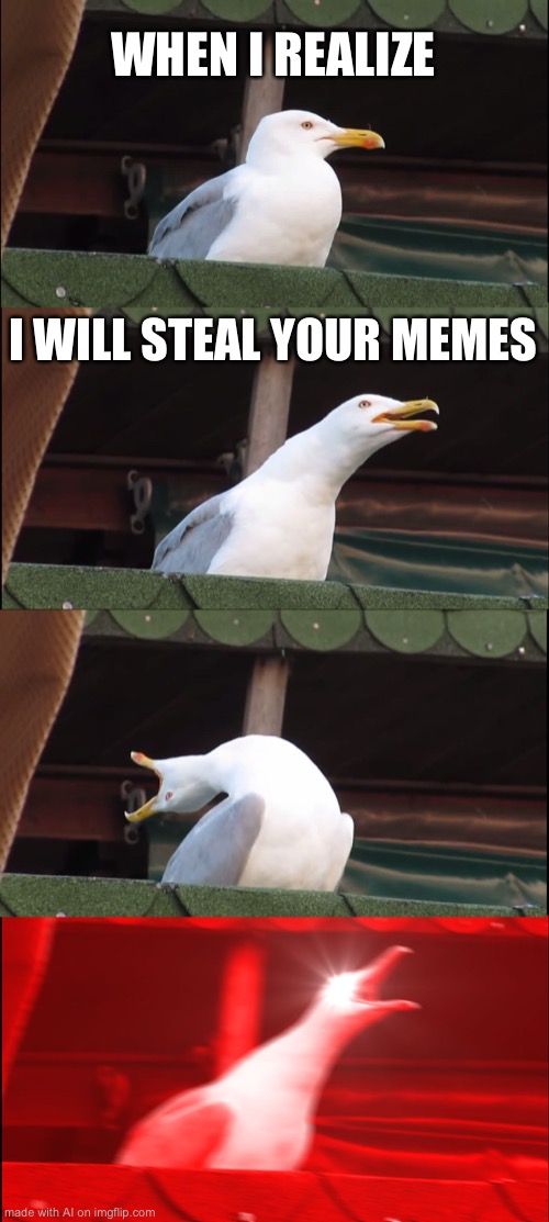 Meme stealer | WHEN I REALIZE; I WILL STEAL YOUR MEMES | image tagged in memes,inhaling seagull | made w/ Imgflip meme maker