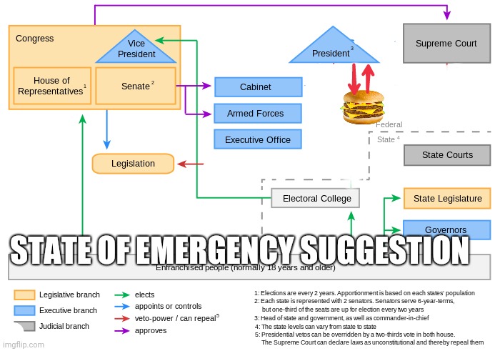 state of emergency suggestion | STATE OF EMERGENCY SUGGESTION | image tagged in trump,covid 19,stay home,usa | made w/ Imgflip meme maker