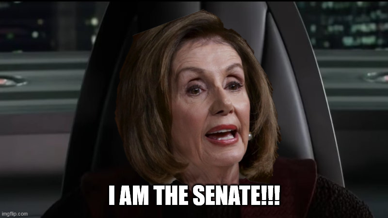I am the senate | I AM THE SENATE!!! | image tagged in i am the senate,nancy pelosi,treason,sedition | made w/ Imgflip meme maker